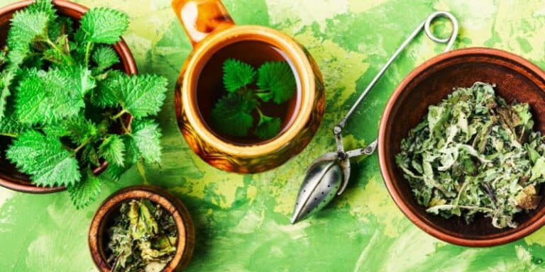 Nettle Tea In A cup With Tea Strainer